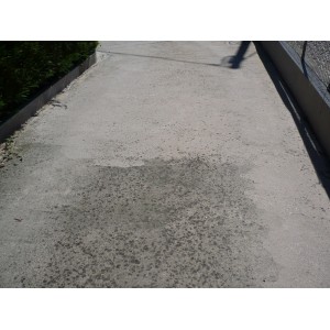 MPMultiplus ACEM-Pav